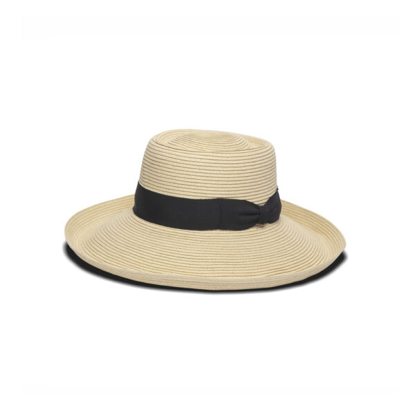 physician endorsed Santa Cruz PHYSICIAN ENDORSED