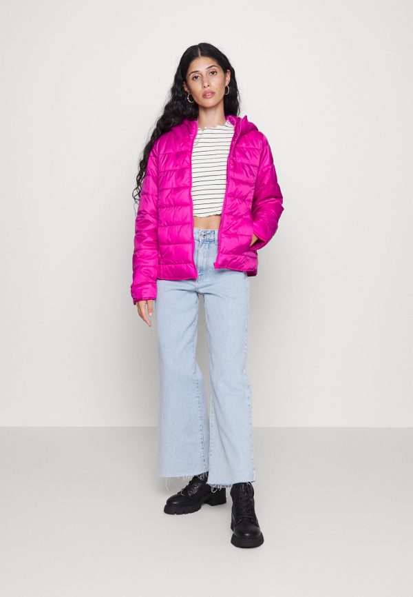 pieces petite PCBIRDIE HOODIE JACKET – Winter jacket Pieces Petite Classical