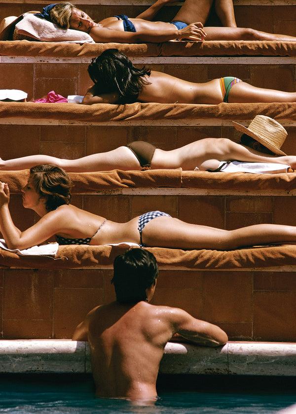 piecework puzzles Sun Basking