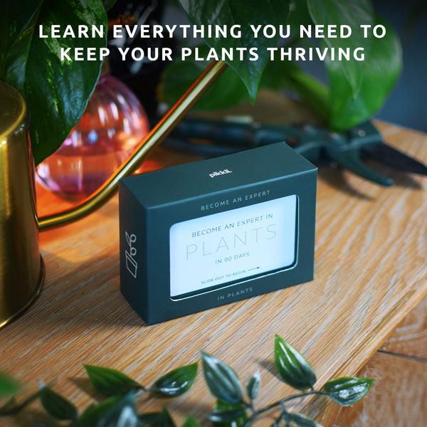 Pikkii Become An Expert In Plants In 90 Days