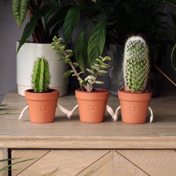 pikkii Hand-Holding Succulent Pots