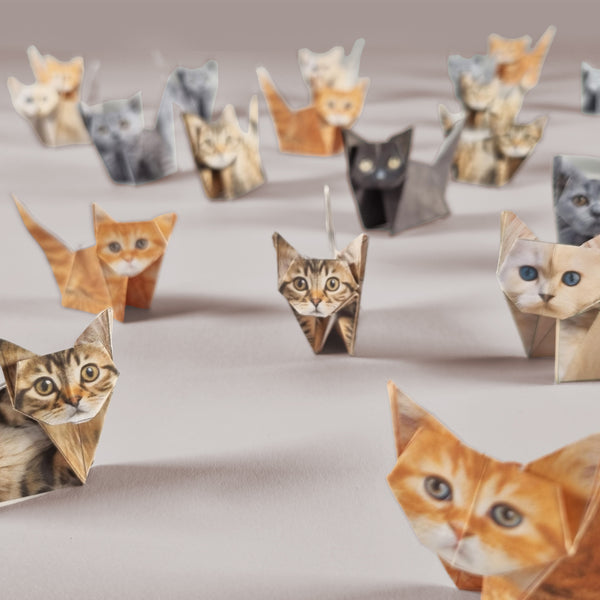Pikkii Paper Cats