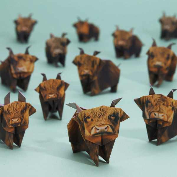 Pikkii Paper Highland Cows