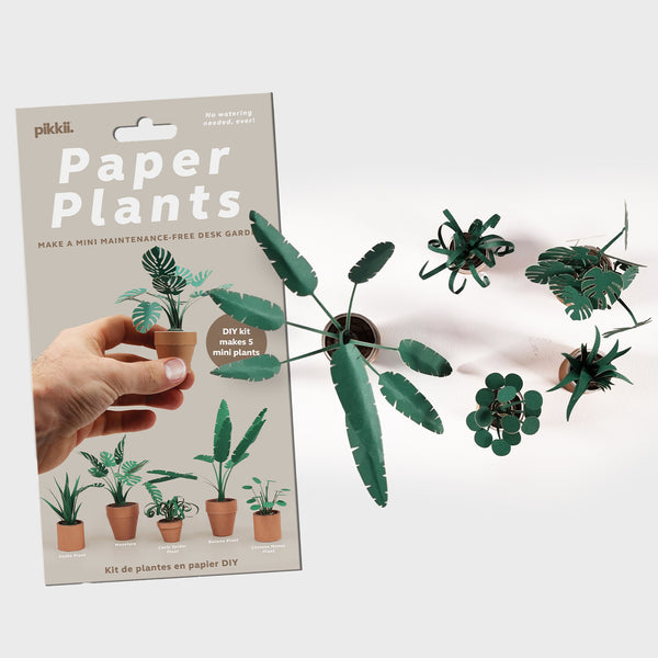 pikkii Paper Plants