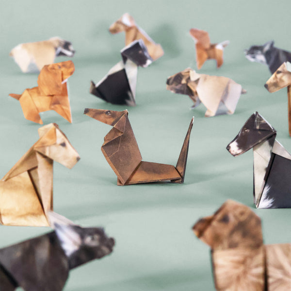 Pikkii Paper Pups - Origami Dog Kit