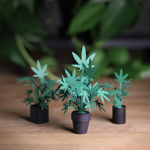 Pikkii Roll Your Own Weed Plants - Paper Craft Kit