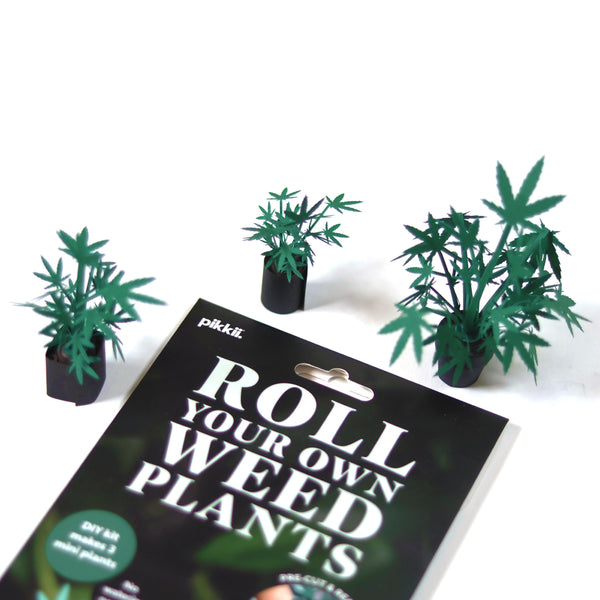 Pikkii Roll Your Own Weed Plants - Paper Craft Kit