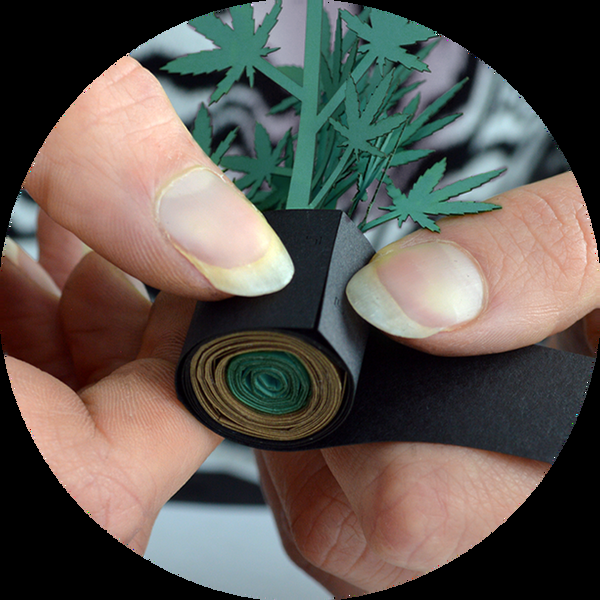 Pikkii Roll Your Own Weed Plants - Paper Craft Kit