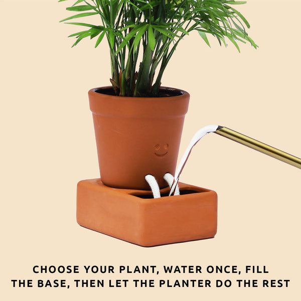 Pikkii Self Care Planter