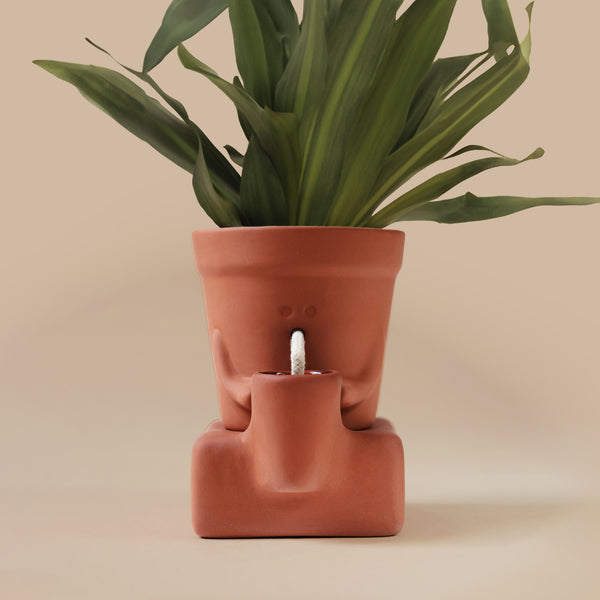Pikkii The Thirsty Planter