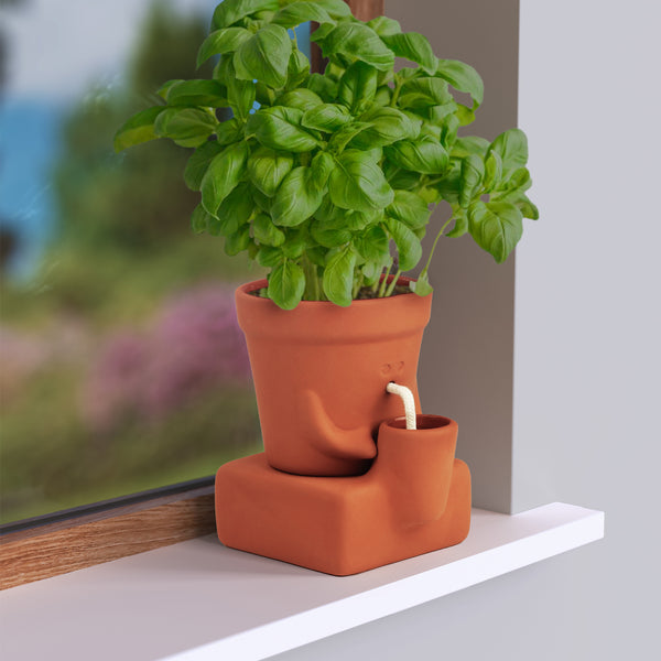 Pikkii The Thirsty Planter