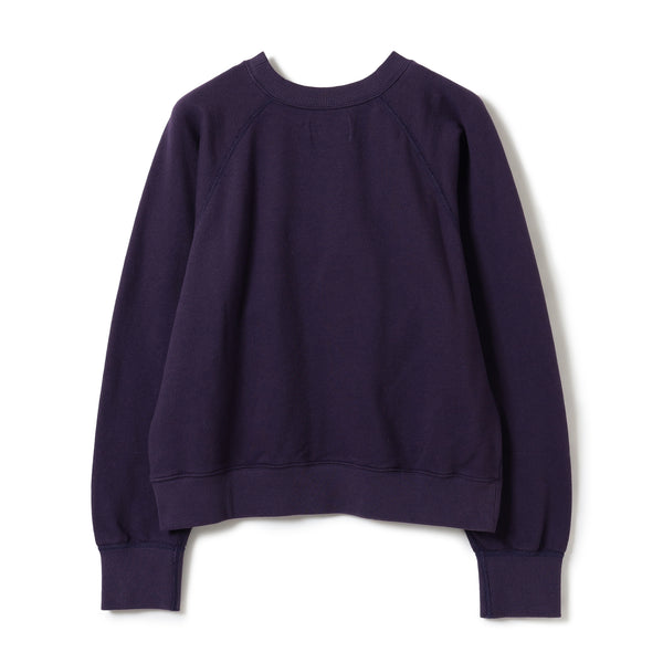 Pilgrim Surf Supply Avery Raglan Crew Azure