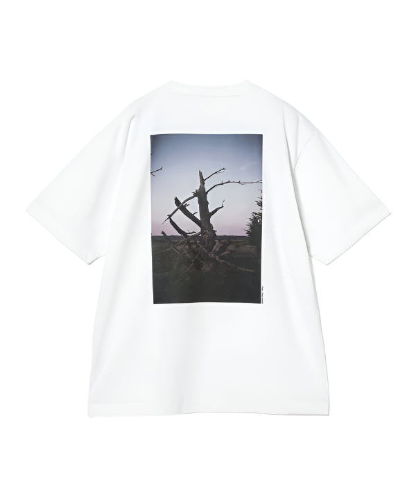 Pilgrim Surf Supply PSSPC Tee Springs Off White