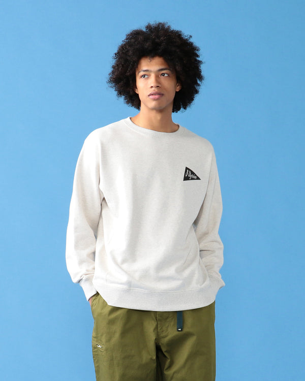 Pilgrim Surf Supply Team Crew Oatmeal