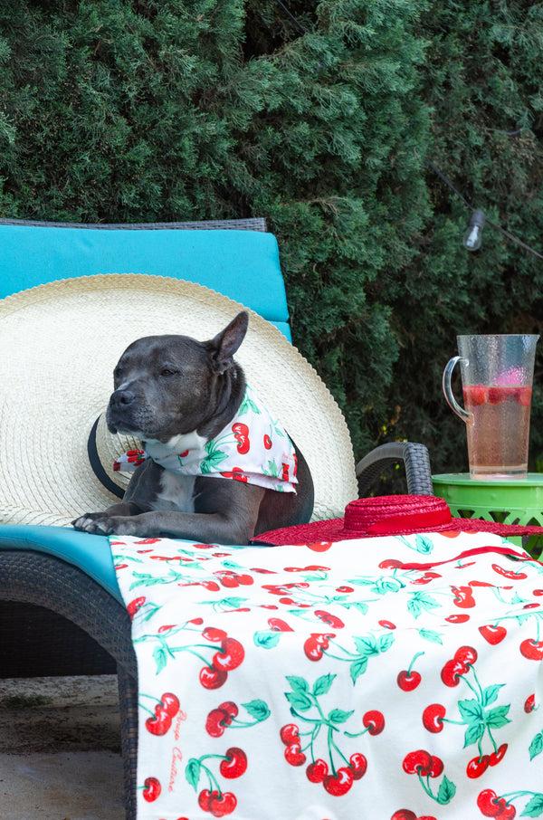 Pin Up Girl Cyndi Antique Ivory Cherry Girl Bandana Scarf | Pinup Couture Relaxed