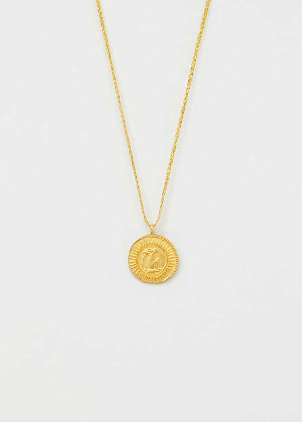 pippa small 18kt Gold Aquarius Horoscope Pendant on Cord