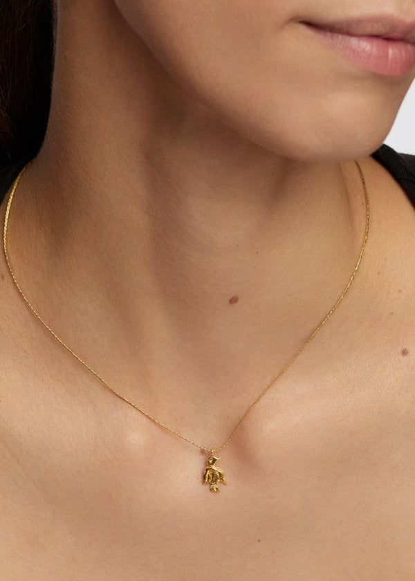 Pippa Small 18kt Gold Bethlehem Zaytun Sunbird Pendant On Cord