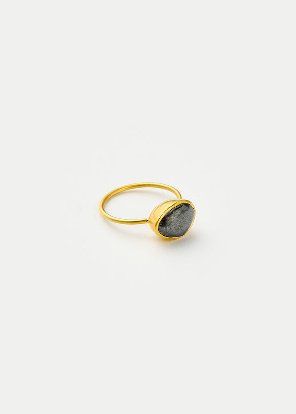 Pippa Small 18kt Gold Night Hematite Cup Ring