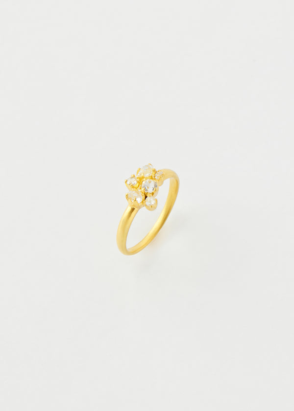 pippa small 18kt Gold Theia Small Cluster Ring