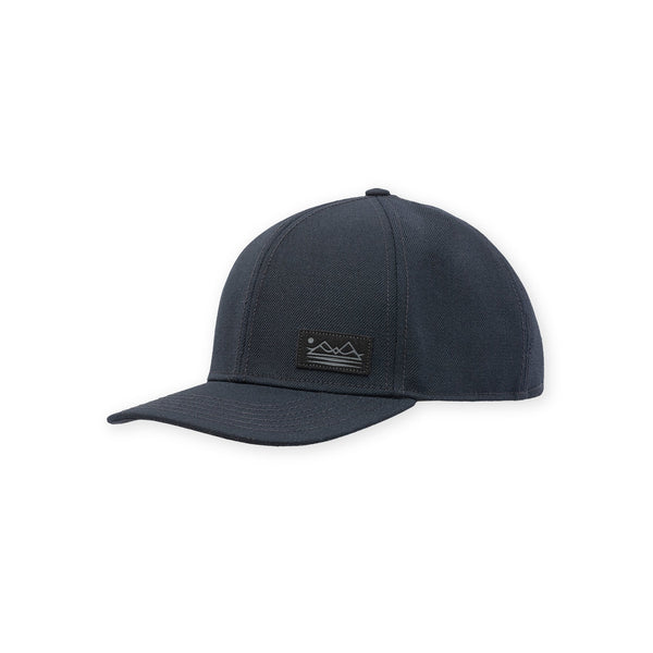 Pistil Dennis Cap Brown