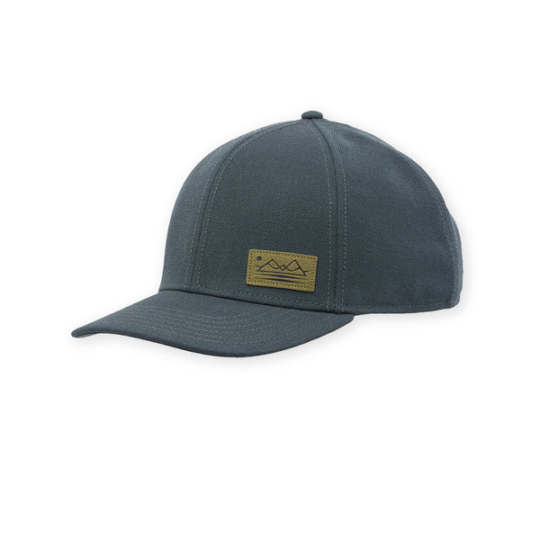 Pistil Dennis Cap Brown