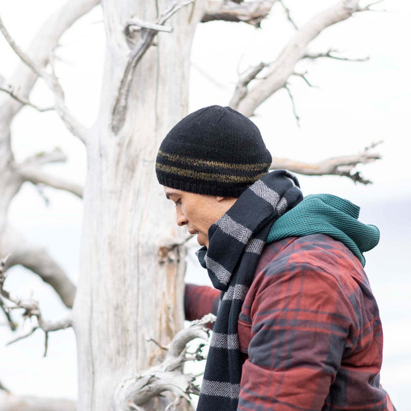 Pistil Elroy Beanie Black