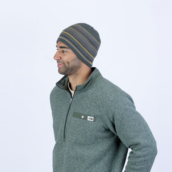 Pistil Flint Beanie Evergreen