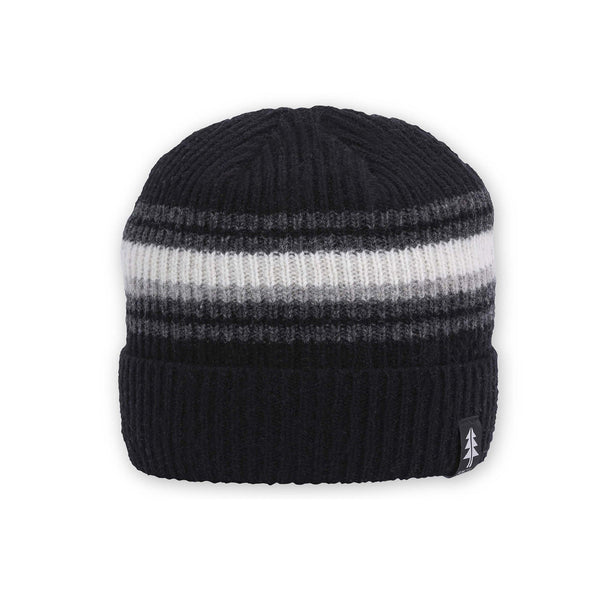 Pistil Forester Beanie Black