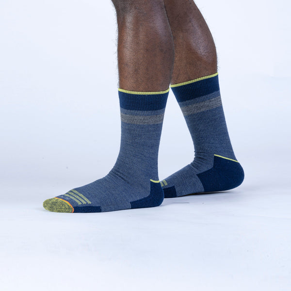 Pistil Ryder Crew Sock Blue