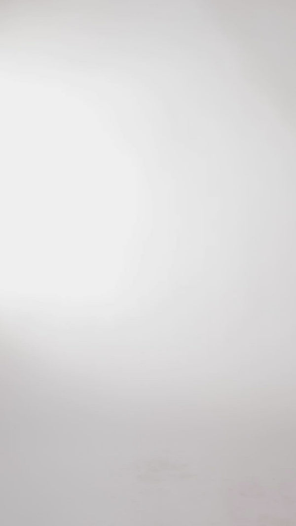 Pistol Panties Dorothy Purple Leopard Bikini Brief