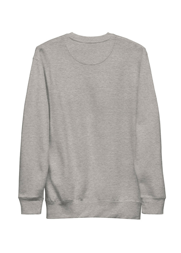 Pitaya Yoga ASTROMANIAC - GREY ☄️ SWEATSHIRT