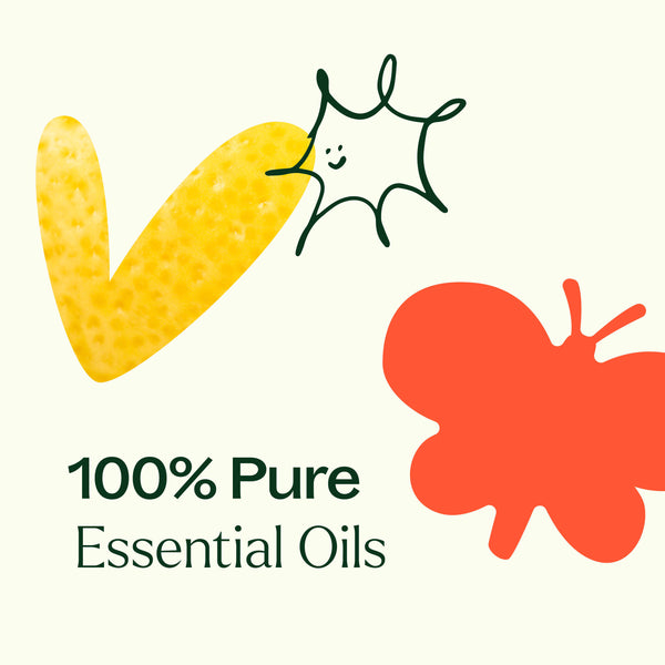 Plant Therapy 15 & 15 Essential Oil Set With Carrying Case