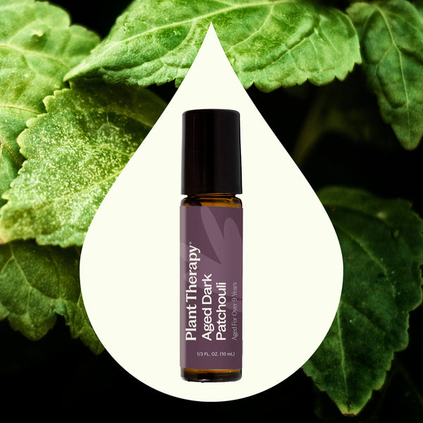Plant Therapy Aged Dark Patchouli Essential Oil Pre-Diluted Roll-On 10 Ml