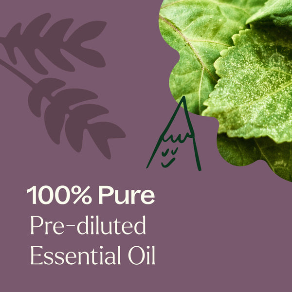 Plant Therapy Aged Dark Patchouli Essential Oil Pre-Diluted Roll-On 10 Ml