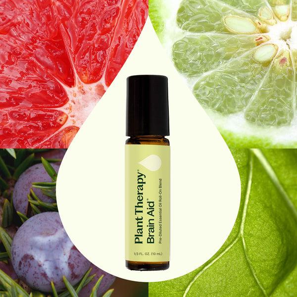 Plant Therapy Brain Aid Essential Oil Blend Pre-Diluted Roll-On