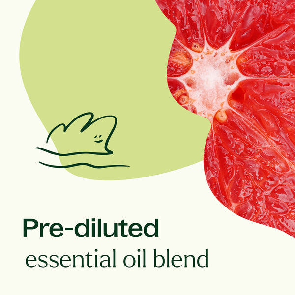 Plant Therapy Brain Aid Essential Oil Blend Pre-Diluted Roll-On