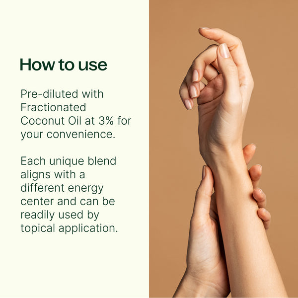 Plant Therapy Chakra Blends Essential Oil Roll-On Set