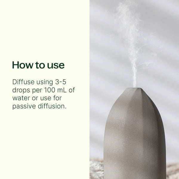 Plant Therapy Chocolate Espresso Essential Oil Blend