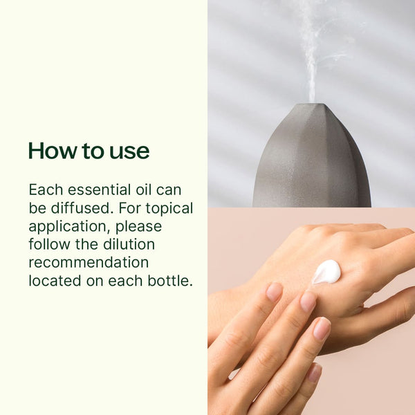 Plant Therapy Christmas Magic Essential Oil Blend 3 Set