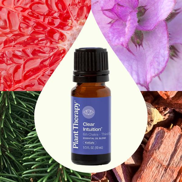 Plant Therapy Clear Intuition (Brow Chakra) Essential Oil 10 ML