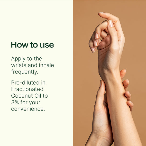 Plant Therapy Crave Control Essential Oil Blend Pre-Diluted Roll-On