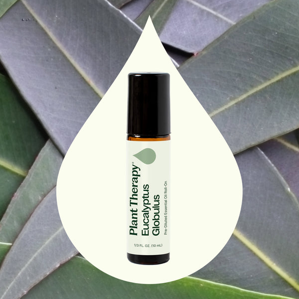 Plant Therapy Eucalyptus Globulus Essential Oil Pre-Diluted Roll-On