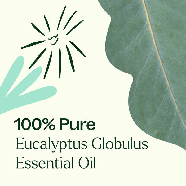 Plant Therapy Eucalyptus Globulus Essential Oil Pre-Diluted Roll-On