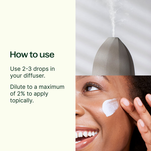 Plant Therapy Fantastic Franks™ Essential Oil Blend