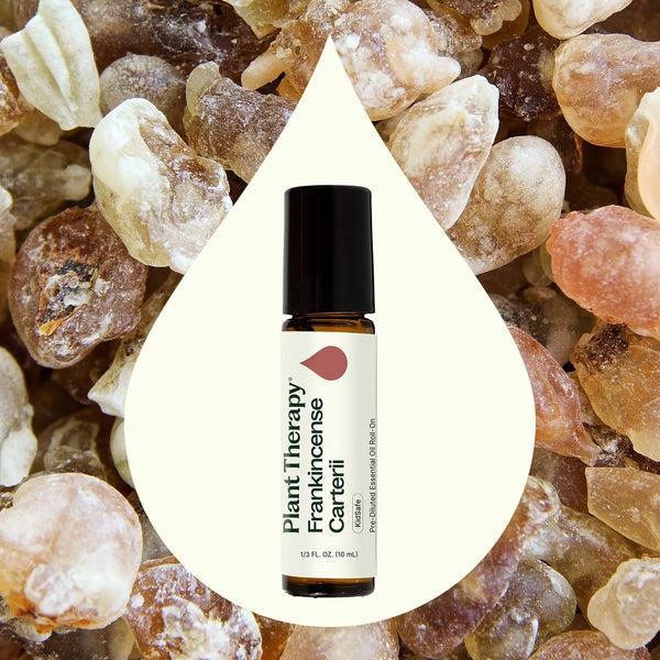Plant Therapy Frankincense Carterii Essential Oil Pre-Diluted Roll-On