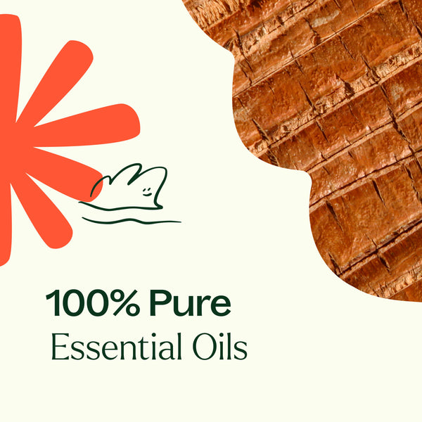 Plant Therapy Grounded Foundation (Root Chakra) Essential Oil