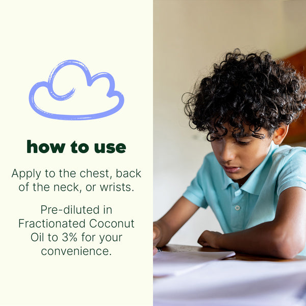 Plant Therapy Hocus Focus Essential Oil Blend Pre-Diluted Roll-On