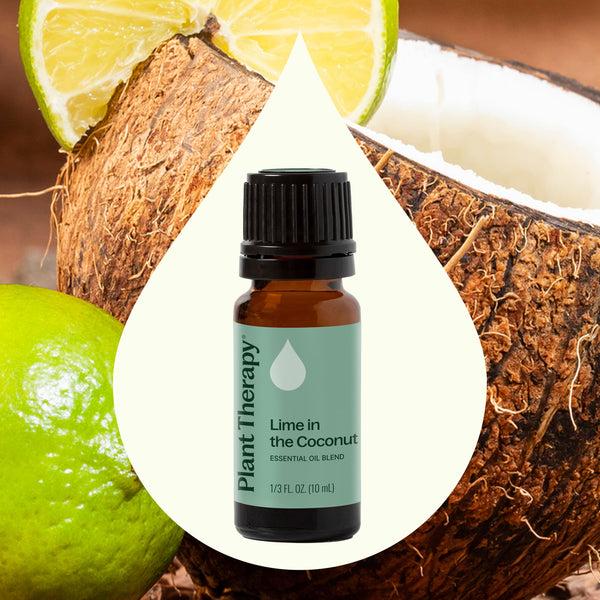 Plant Therapy Lime In The Coconut Essential Oil Blend