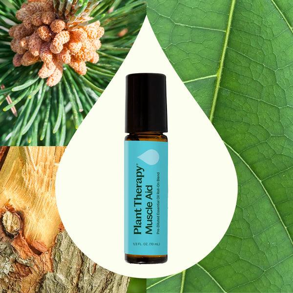 Plant Therapy Muscle Aid Essential Oil Blend Pre-Diluted Roll-On