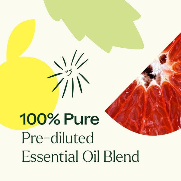 Plant Therapy One & All Pre-Diluted Essential Oil Roll-On Blend 10 ML